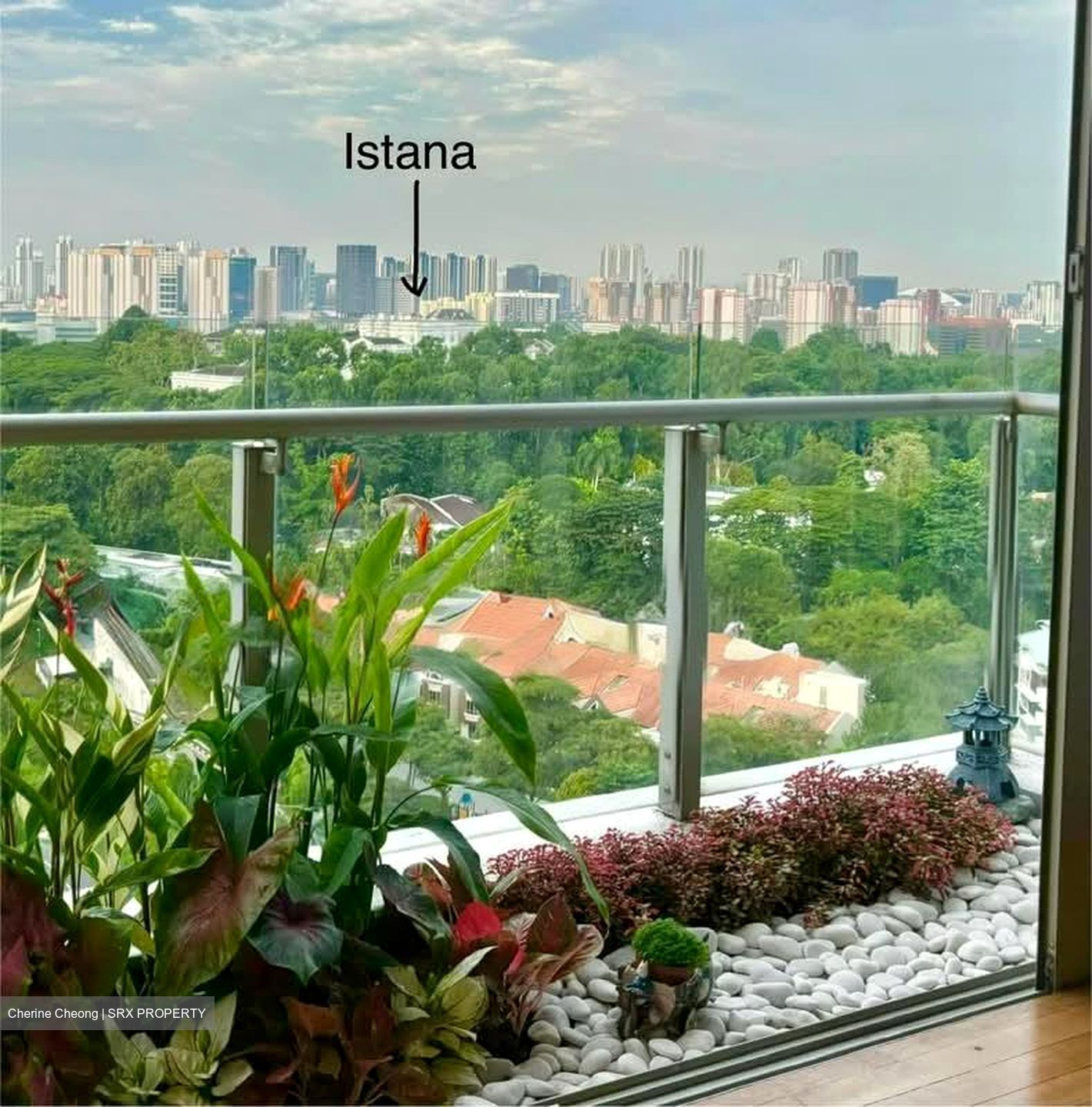 Cairnhill Crest (D9), Condominium #574920901